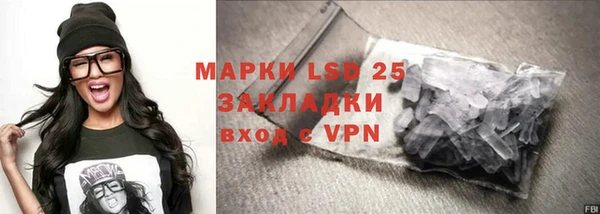 гидра Михайловка