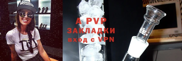 сатива Михайлов