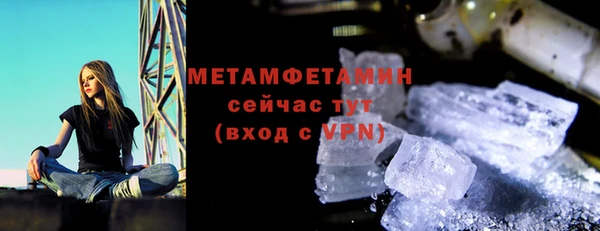 гидра Михайловка