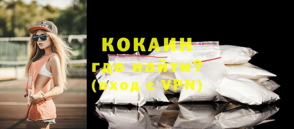гидра Михайловка