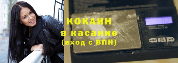 гидра Михайловка