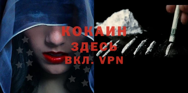 гидра Михайловка