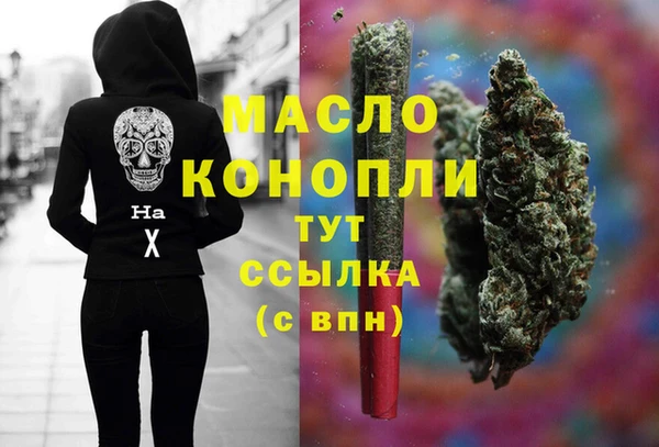 гидра Михайловка