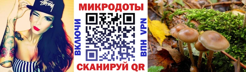 Купить закладки  Электрогорск  Псилоцибиновые грибы Psilocybine cubensis 